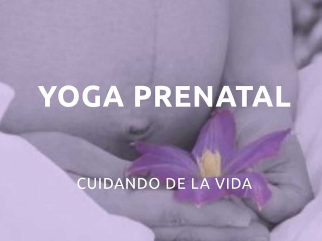 Formación Online de Yoga Prenatal