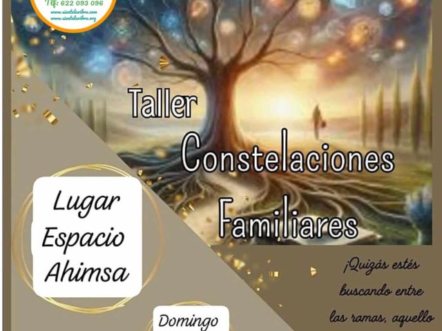 Taller 💫Constelaciones Familiares, Sevilla