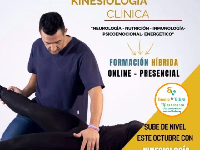 MASTER COMPLETO KINESIOLOGÍA CLÍNICA