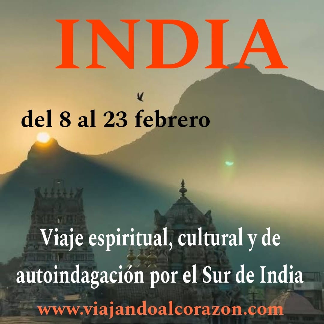 INDIA- 8 AL 23 DE FEBRERO