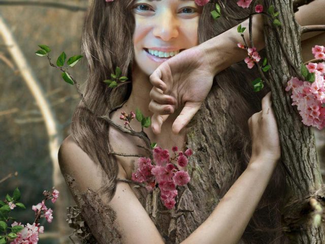 SANACIÓN CANALIZADA EN GRUPO: *RECUERDO CUANDO ERA ÁRBOL*. Facilita MARÍA EUGENIA.