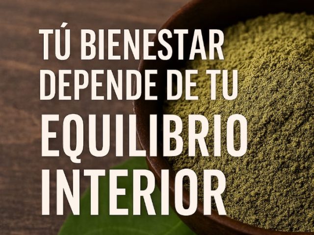 Taller de Ayurveda · Satya Yoga Zaragoza · 25 de octubre