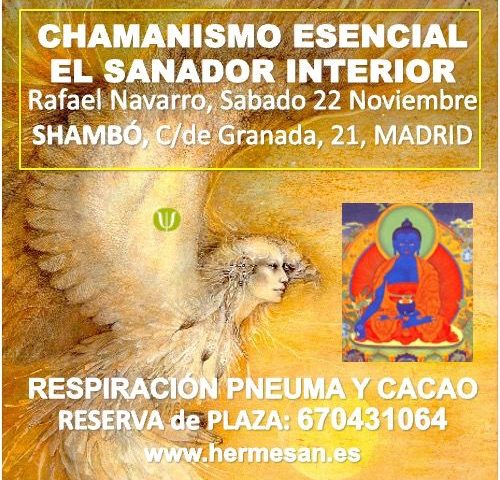 Chamanismo Esencial: El Sanador Interior