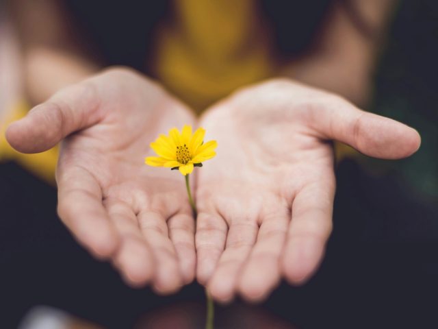 Retiro de Ayuno Consciente · 72 horas en la Sierra de Aracena