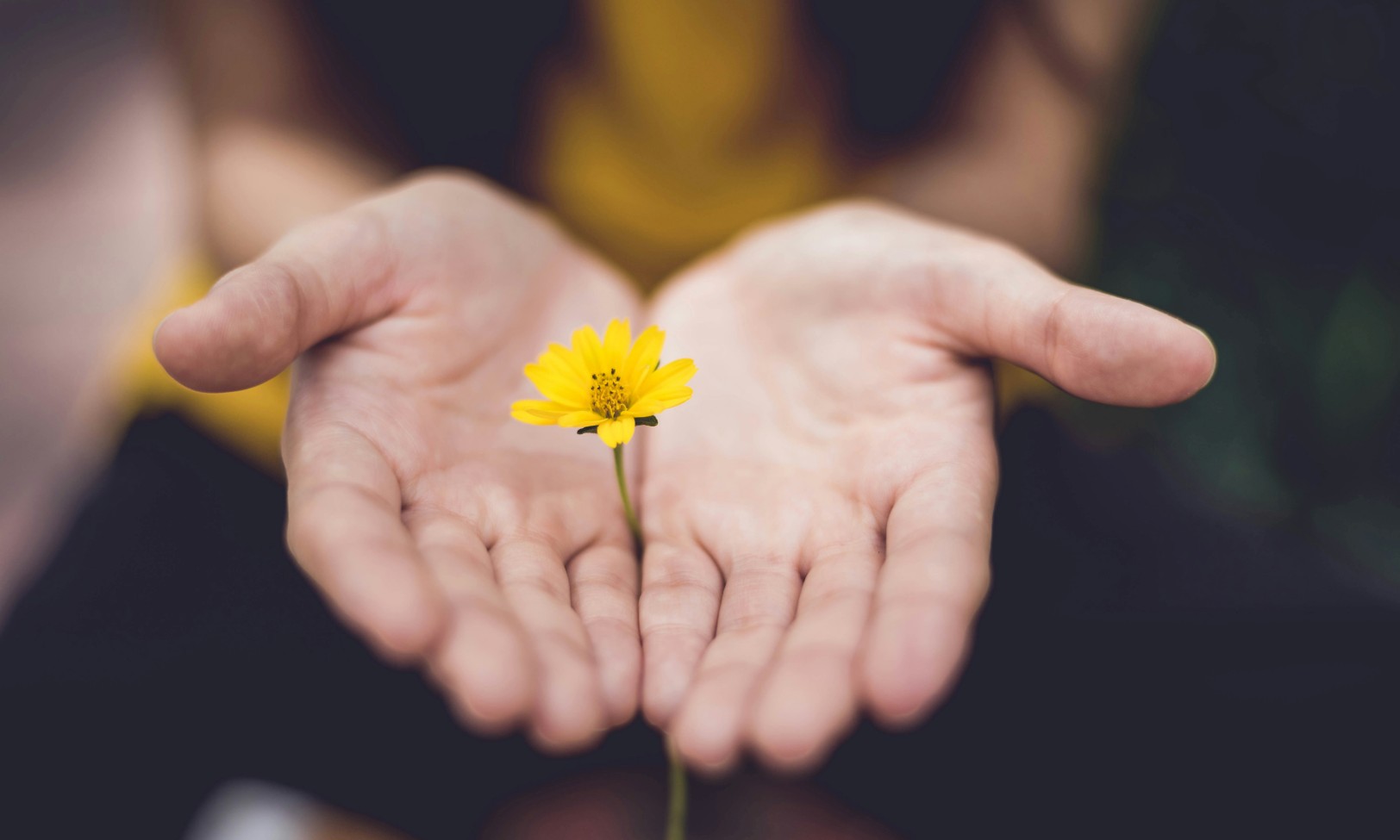 Retiro de Ayuno Consciente · 72 horas en la Sierra de Aracena