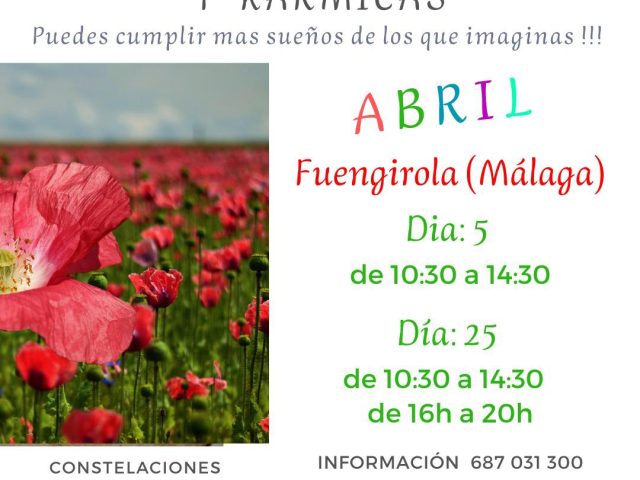 Constelaciones Familiares y Kármicas en Fuengirola