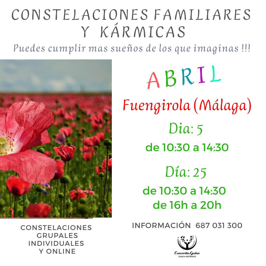 Constelaciones Familiares y Kármicas en Fuengirola