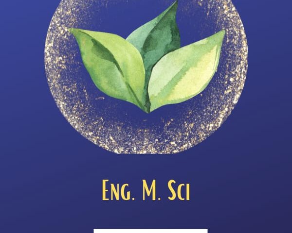 Sesiones Privadas de Medicina Cuántica Integrativa y Coaching