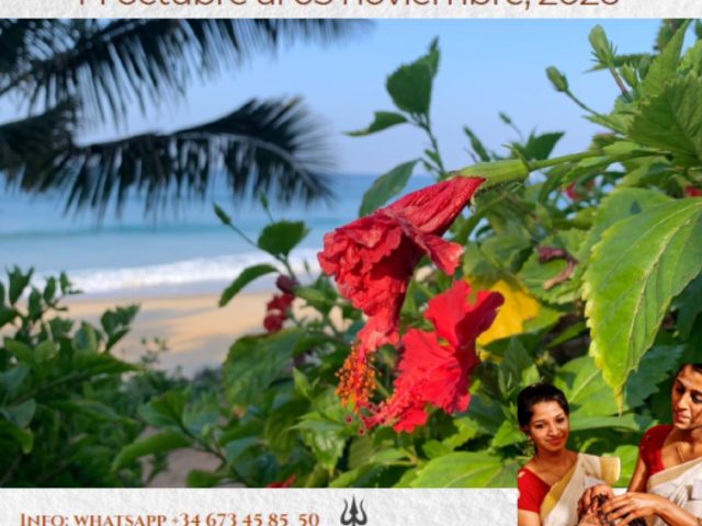 Retiro Panchakarma & Yoga en Kerala (India)