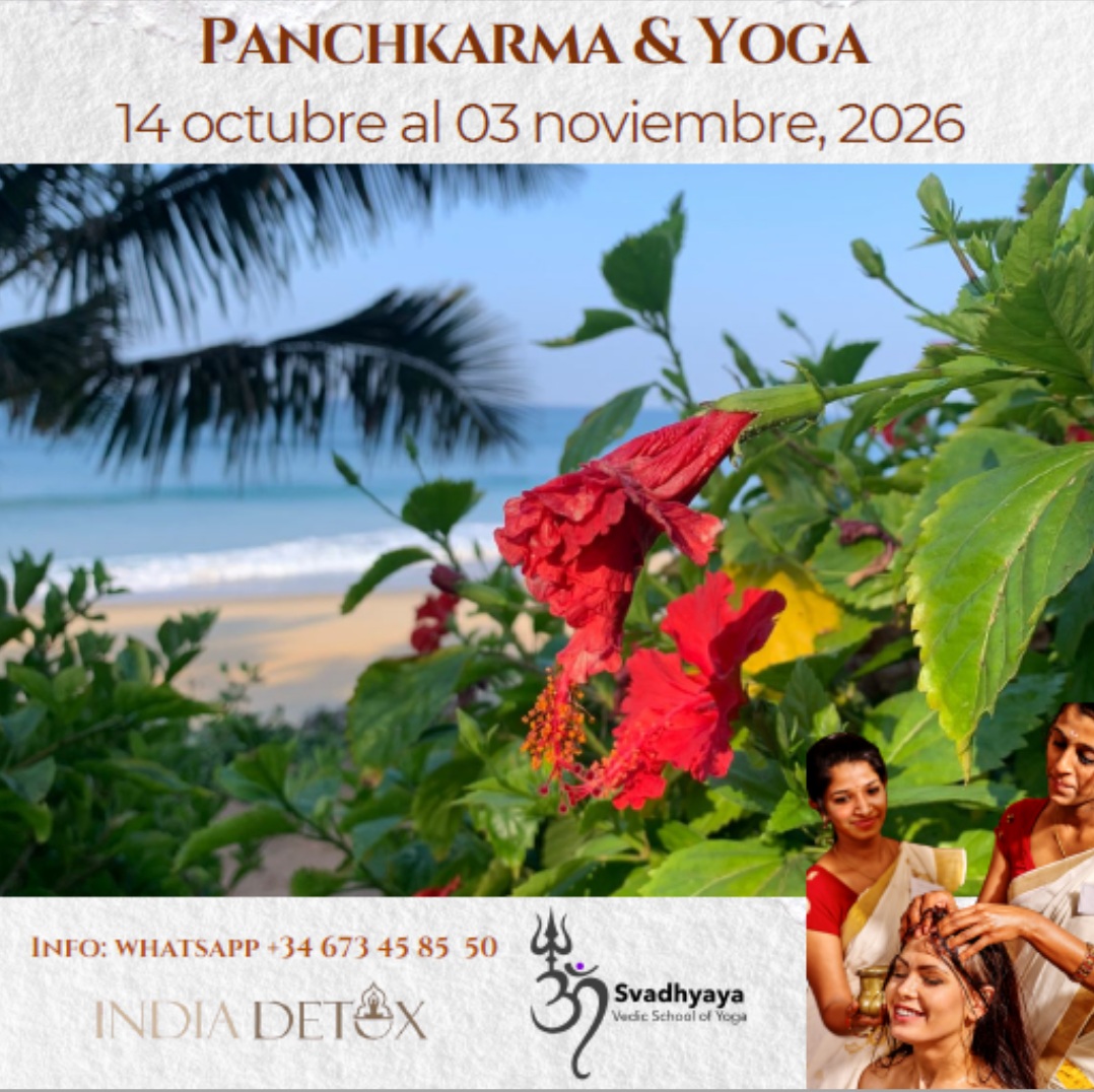 Retiro Panchakarma & Yoga en Kerala (India)