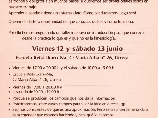 Introducción a la Kinesiología Holística en Utrera