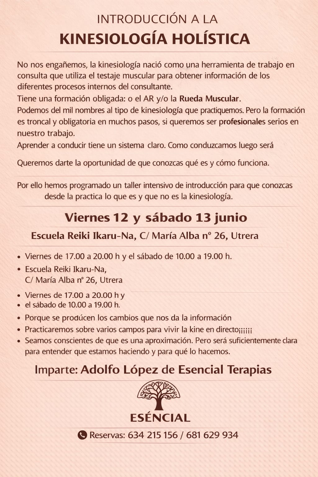 Introducción a la Kinesiología Holística en Utrera